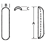 Nasal Dorsum
