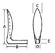 Voloshin Dorsal Columella