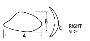 Malar Shell
