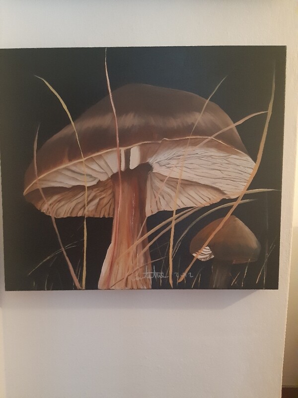 Quadro Moderno  Funghi - Collezione Limitata Effetti Collaterali 