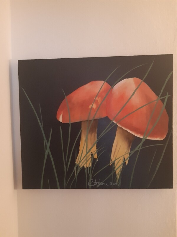 QUADRO MODERNO FUNGHI ARANCIONI - COLLEZIONE LIMITATA EFFETTI COLLATERALI