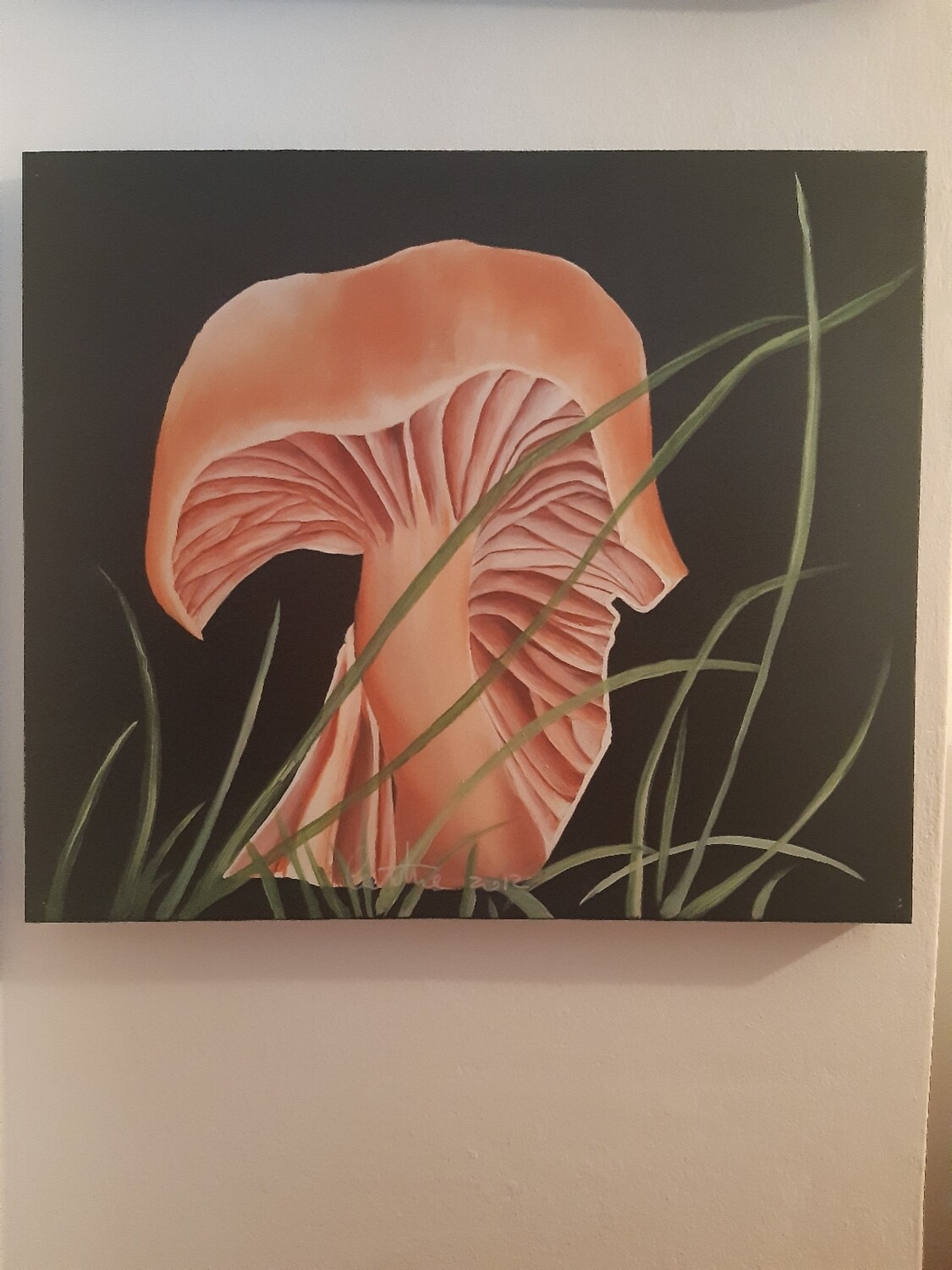 DIPINTO DI  FUNGO - COLLEZIONE LIMITATA EFFETTI COLLATERALI