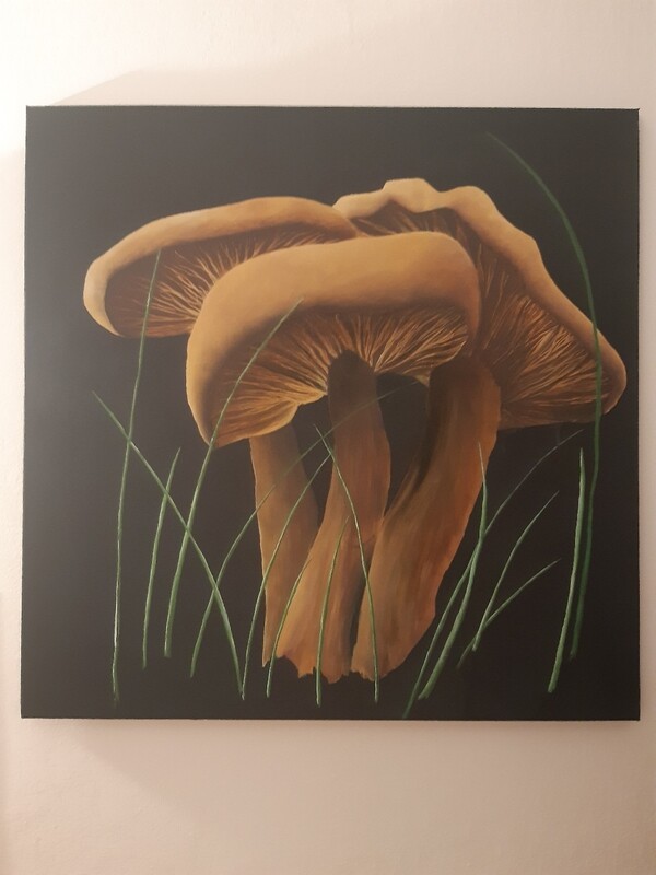 DIPINTO DI FUNGHI- QUADRO COLLEZIONE LIMITATA EFFETTI COLLATERALI