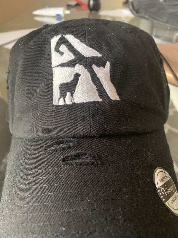 1 Custom Embroidered Dad Hat
