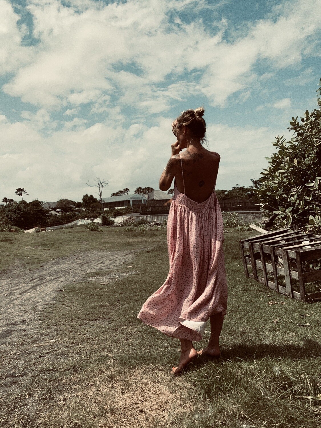 Easy Monday Rose