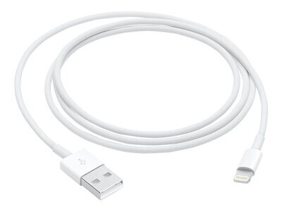 Kabel Lightning (M) - USB-A (M) 1m (Apple Origineel)