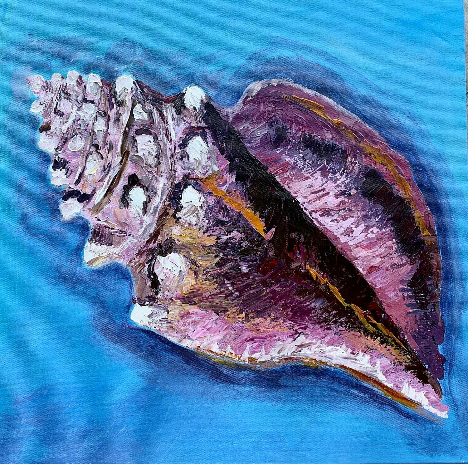 Florida Conch Shell 5