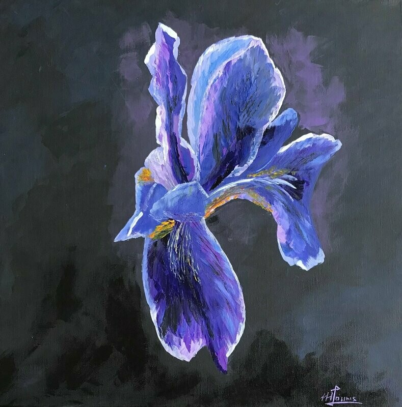 Iris on the black painting