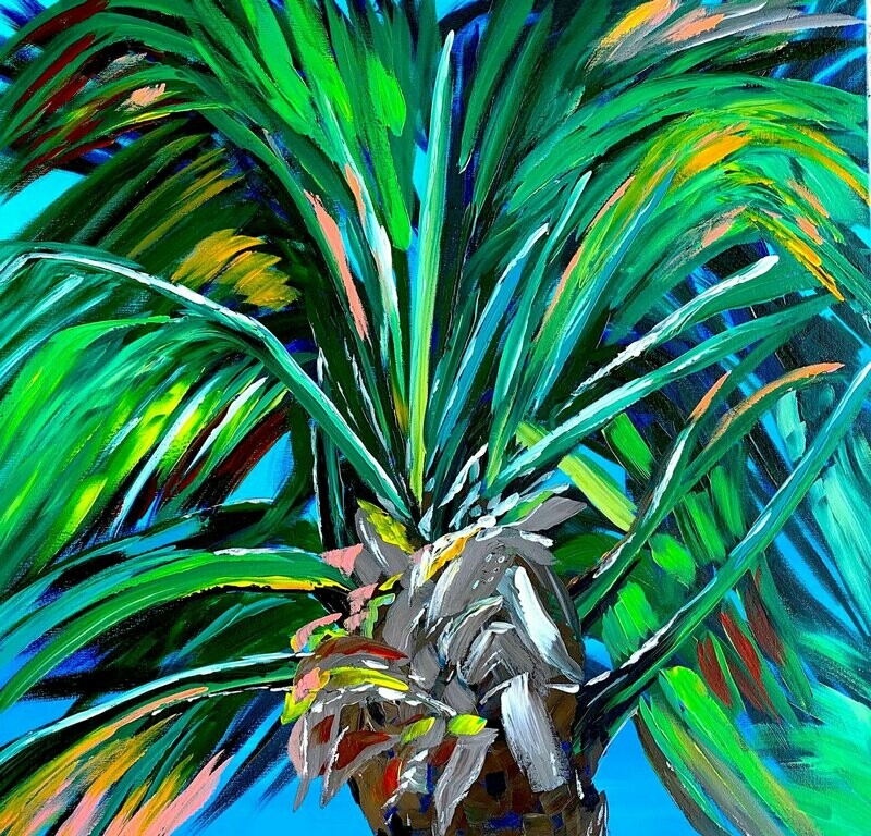 Florida Palm Tree