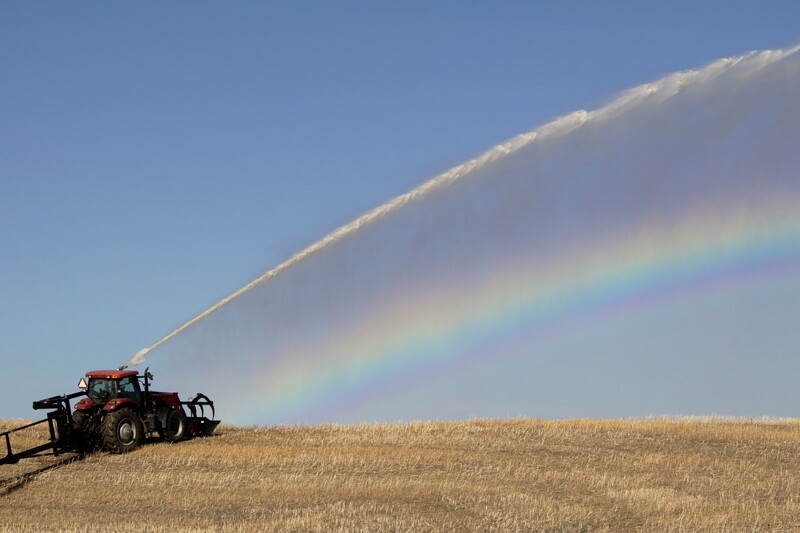 Rainbow | Two Hills, Alberta