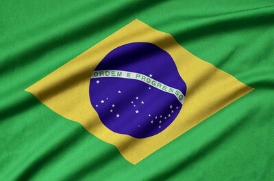 Brazil Fazenda Paraiso (215g bag)