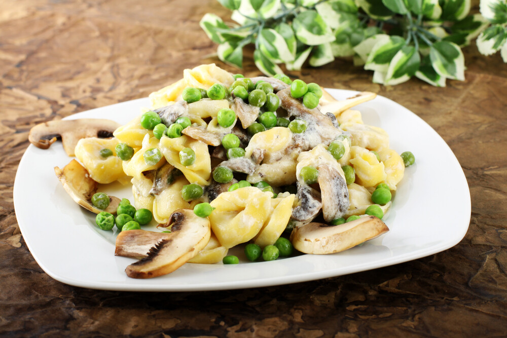 Tortellini Ricotta