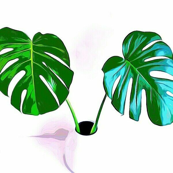 GreeningIsWinning