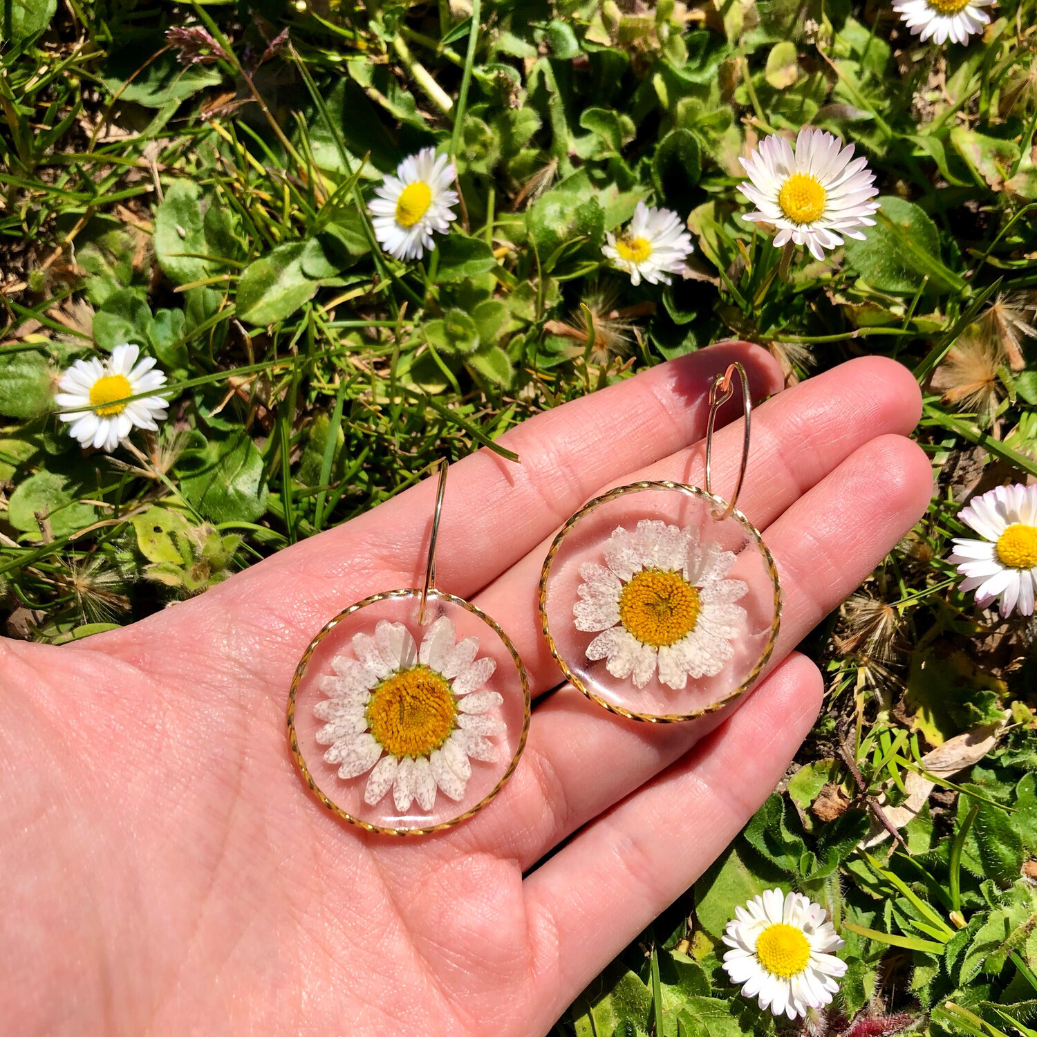 Aros Margaritas Blancas