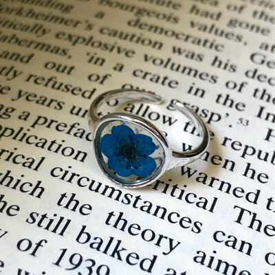 Anillos 