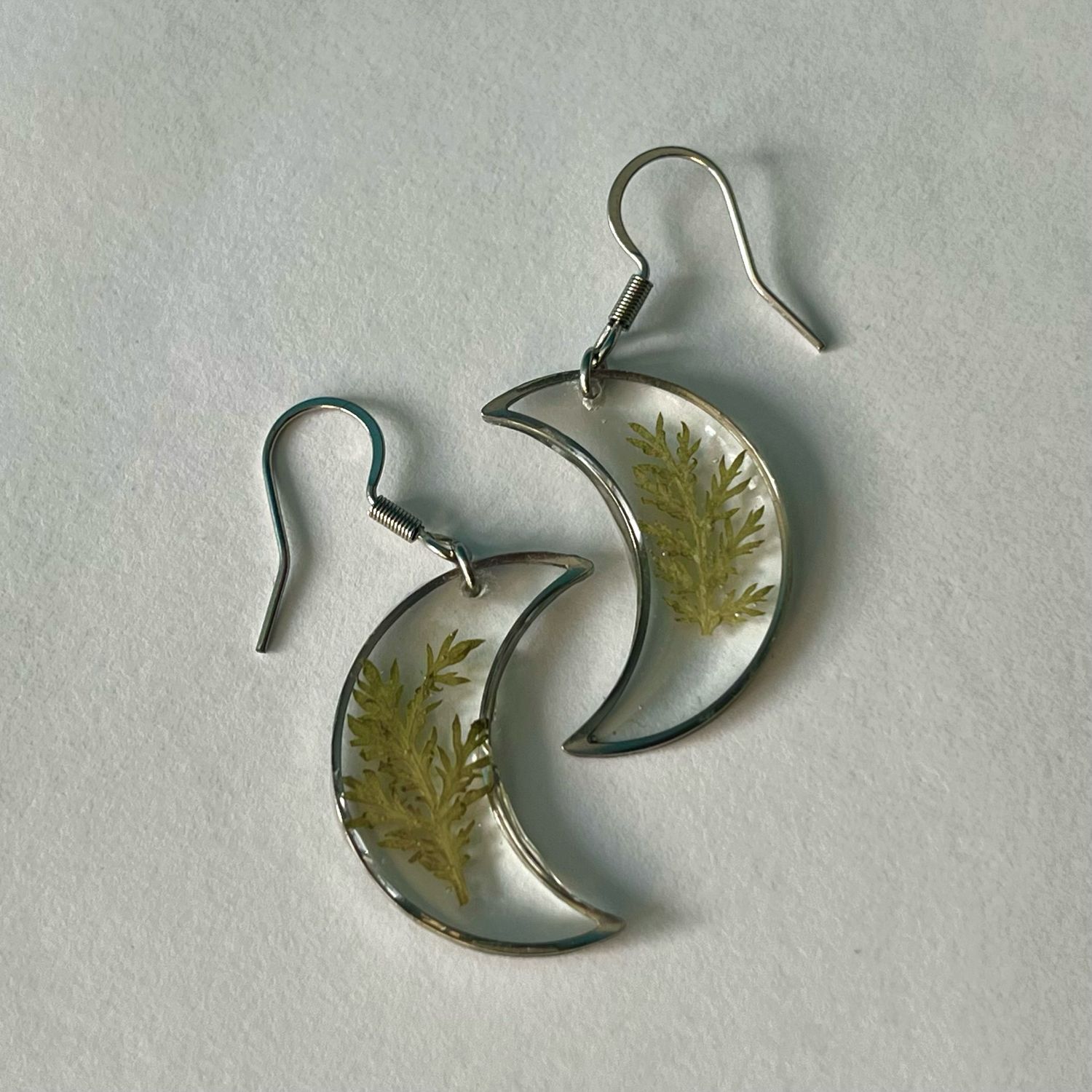 Lunas plateadas hojas verdes