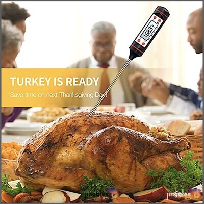 Food Electronic Thermometer.
