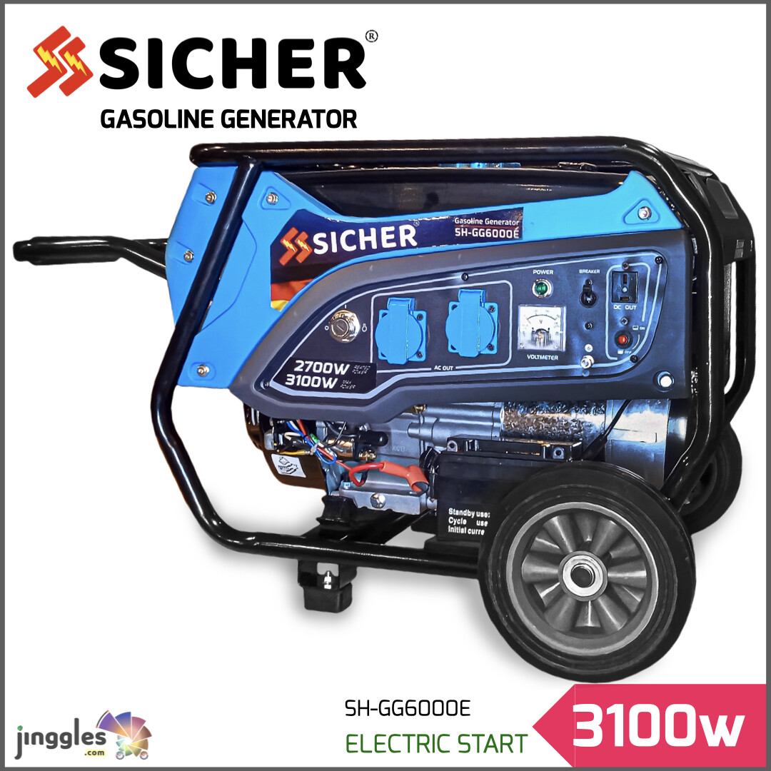 SICHER 3100w Gasoline Electric Start Generator with Trolly