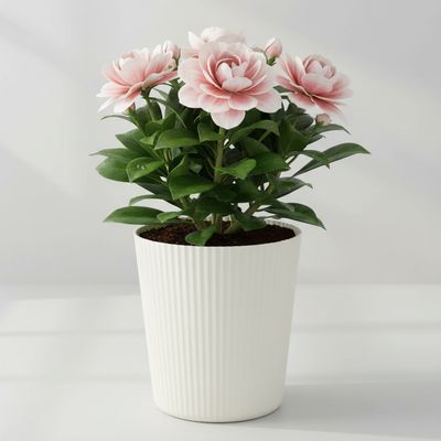 Desktop Plant Pot. White. Ø14x16cm