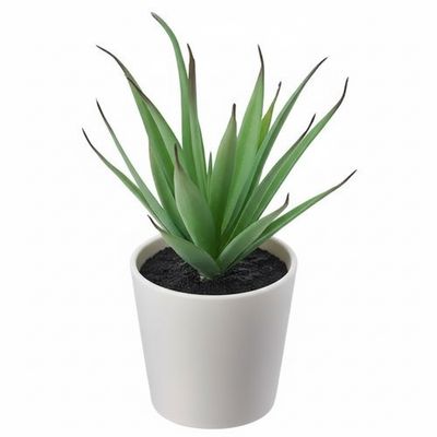 Artificial Succulent Yucca Potted Plant.