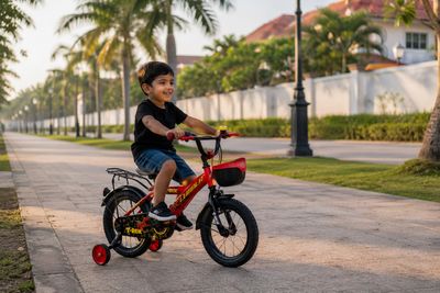 Lumala T Rex 12'' 2025 Kids Bicycle