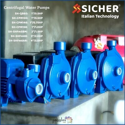 SICHER Centrifugal Water Pump. 1"x1"  |   0.5HP  |  60FT