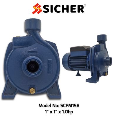 SICHER Centrifugal Water Pump. 1"x1"  |   1.0HP  |  92FT