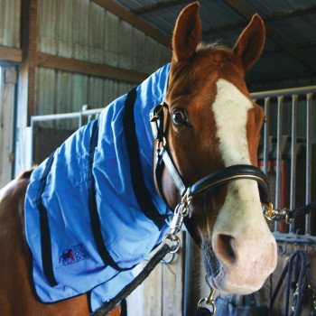 Equi-Cool Neck Wrap