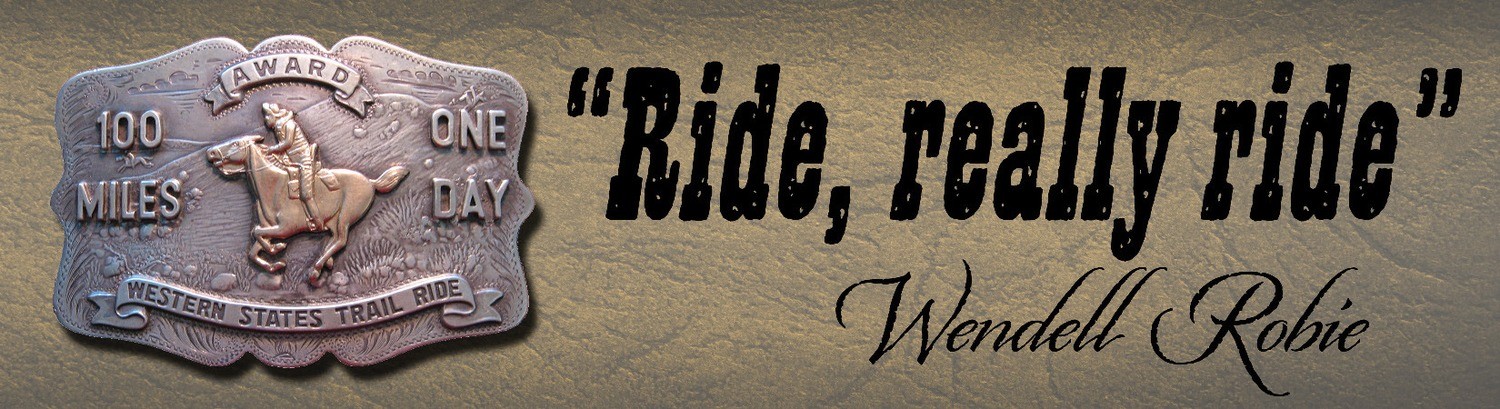 Ride, Really Ride! - Bumper Sticker
