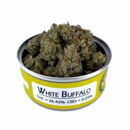 WHITE BUFFALO
