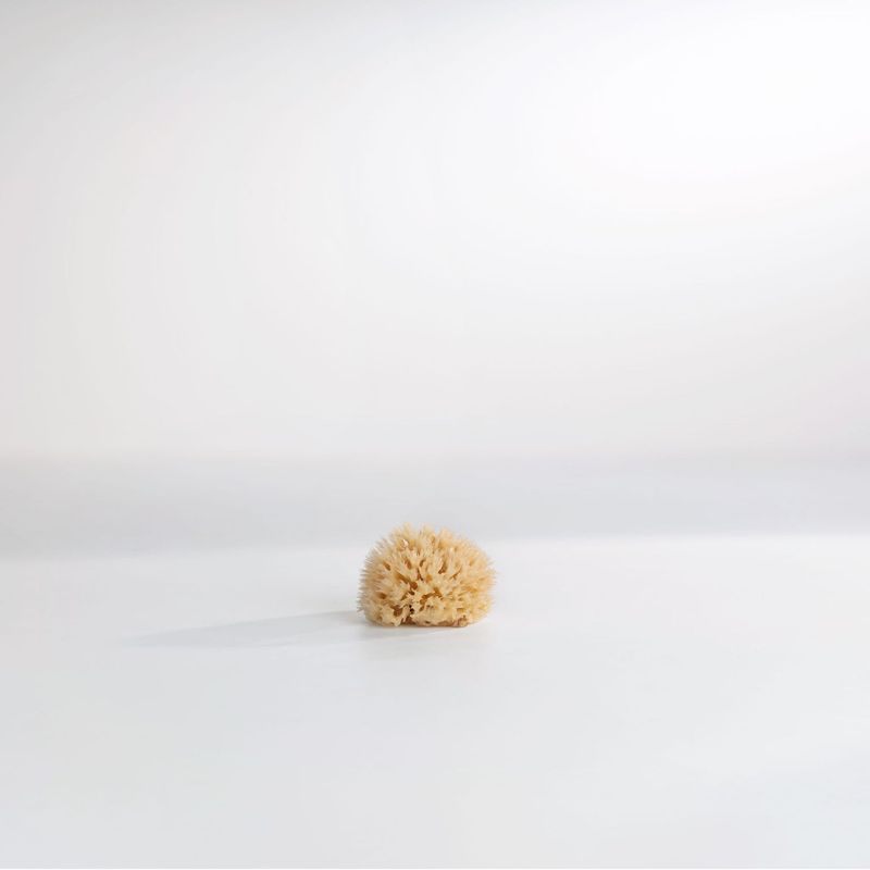 Permsal natuurlijke zeespons 7,5 cm