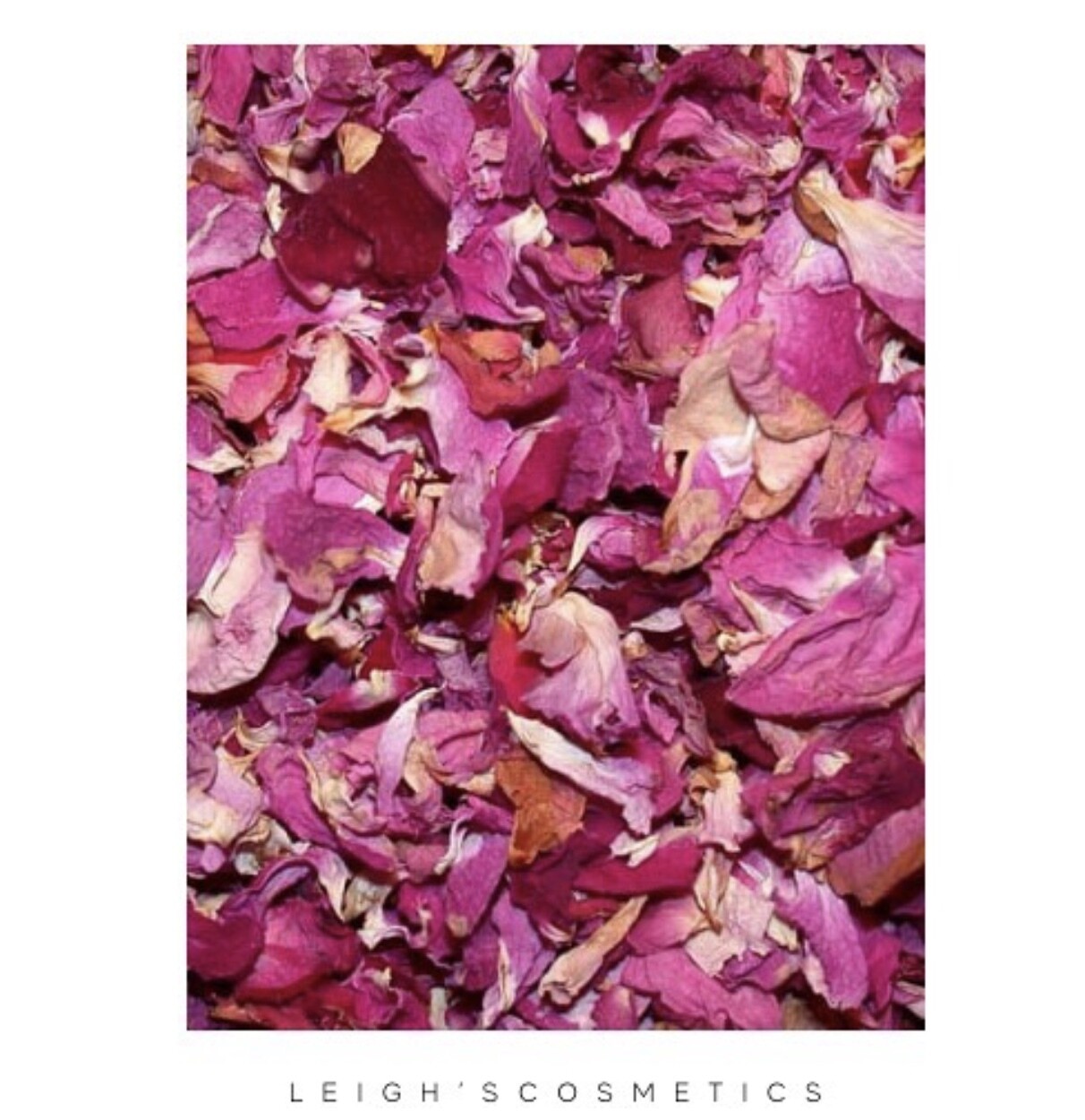 Rose Petals