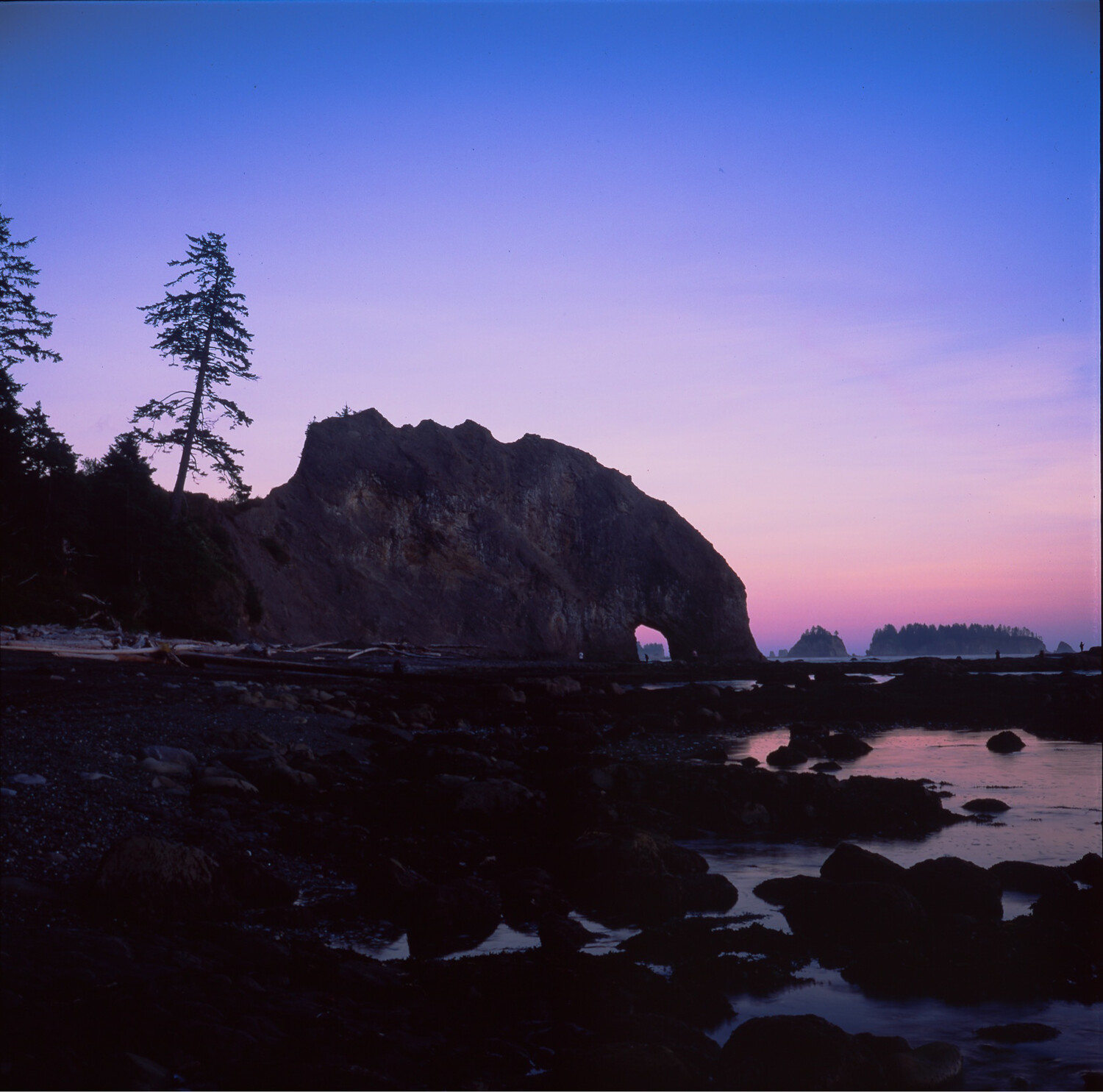 Rialto Beach, Washington State