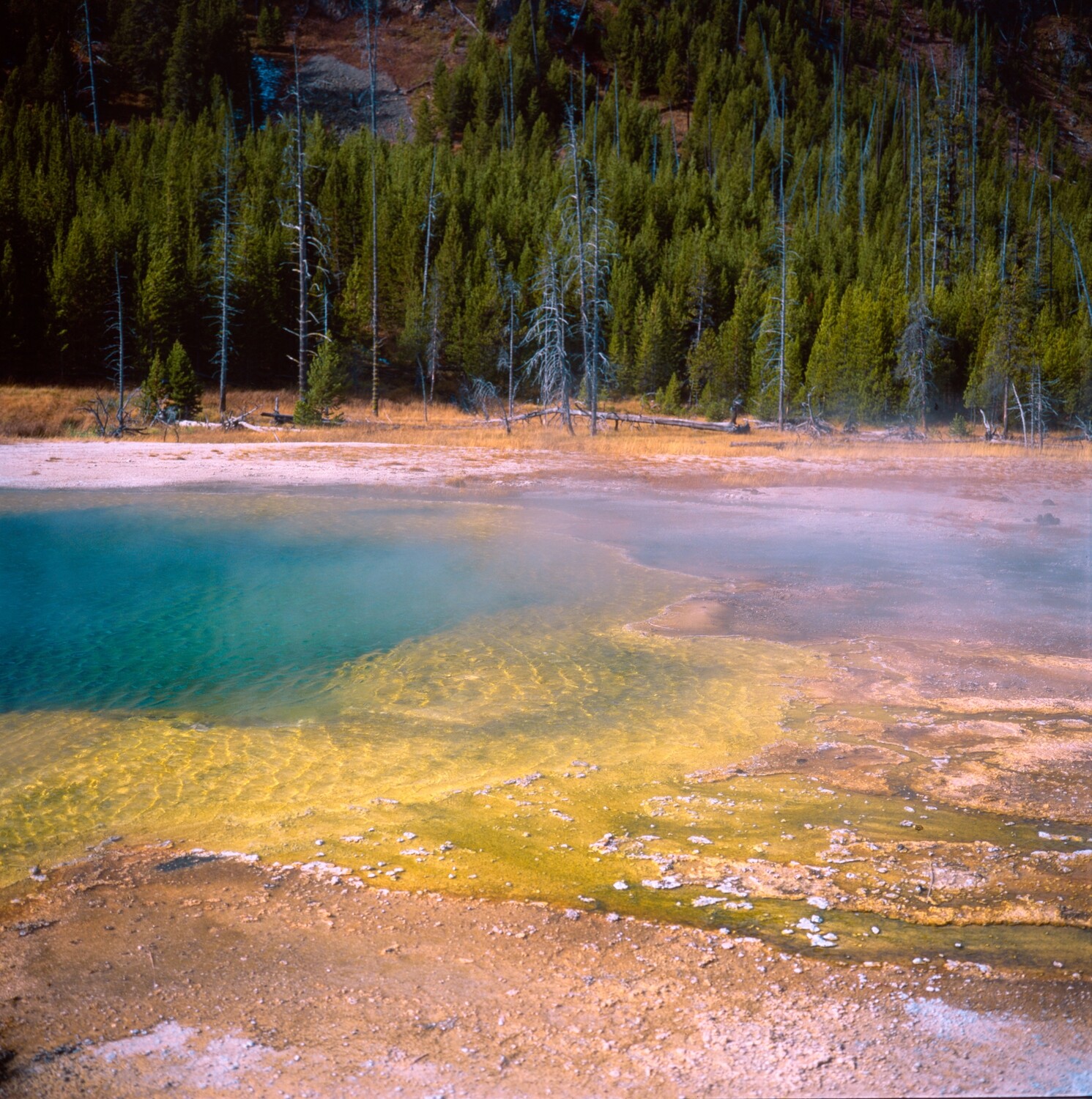 Yellowstone National Park