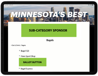 Voting Ballot Button