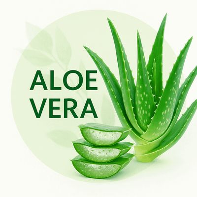 Collection Aloe Vera