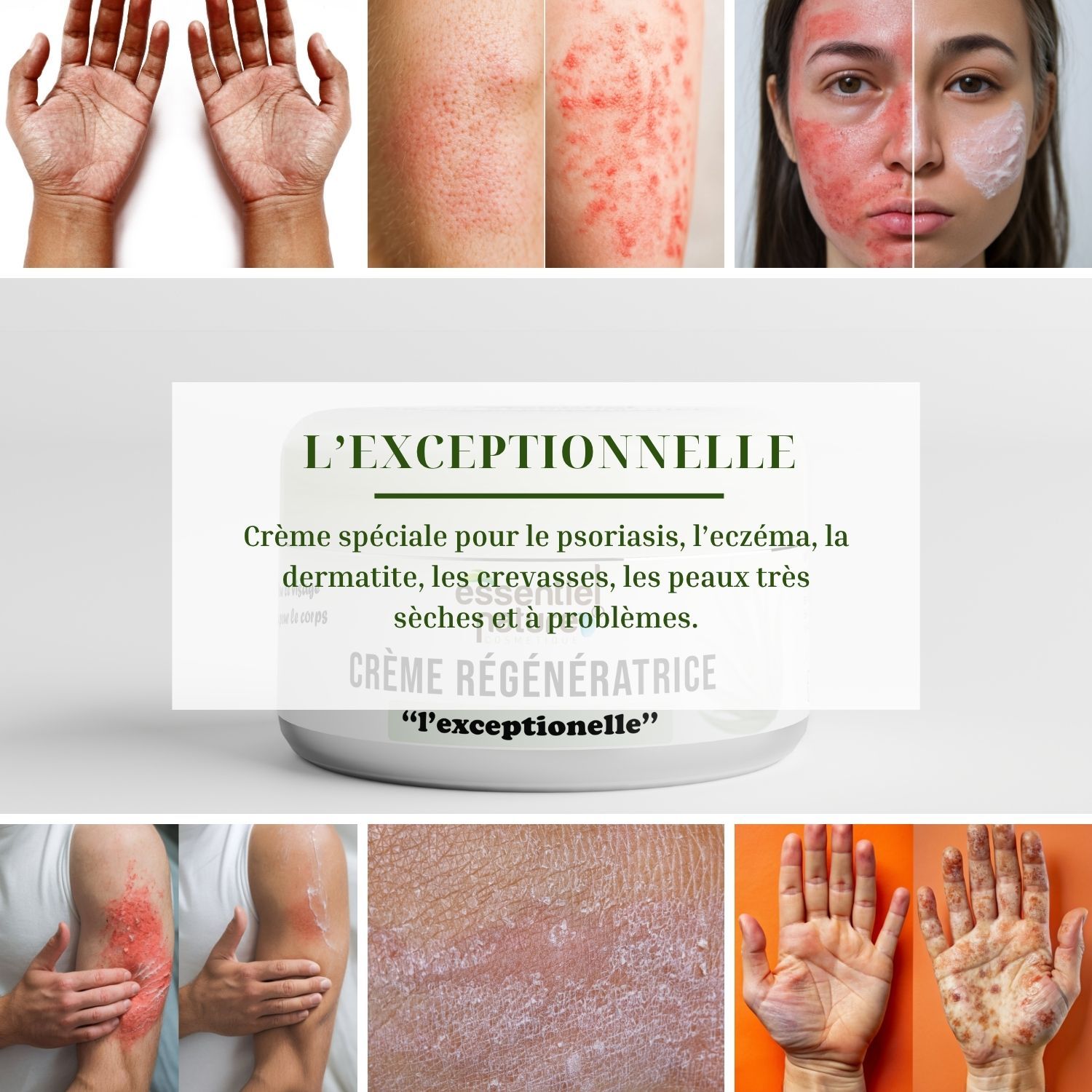 Crème régénératrice aloe vera bio 