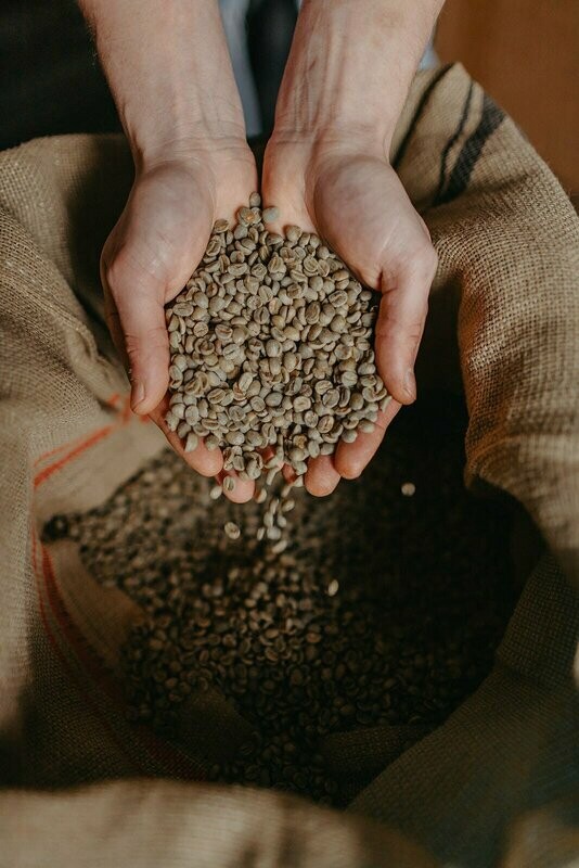 Green Coffee