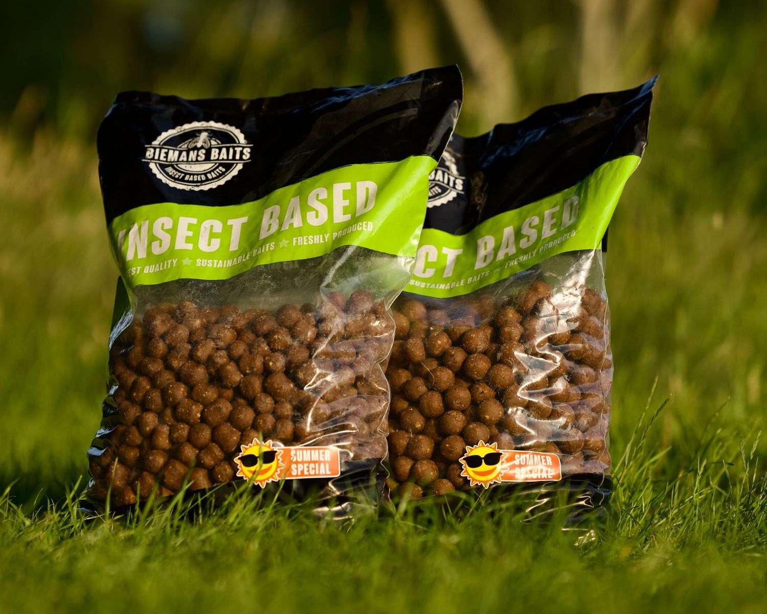 Chocosect – Summer Special