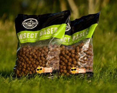 Chocosect – Summer Special