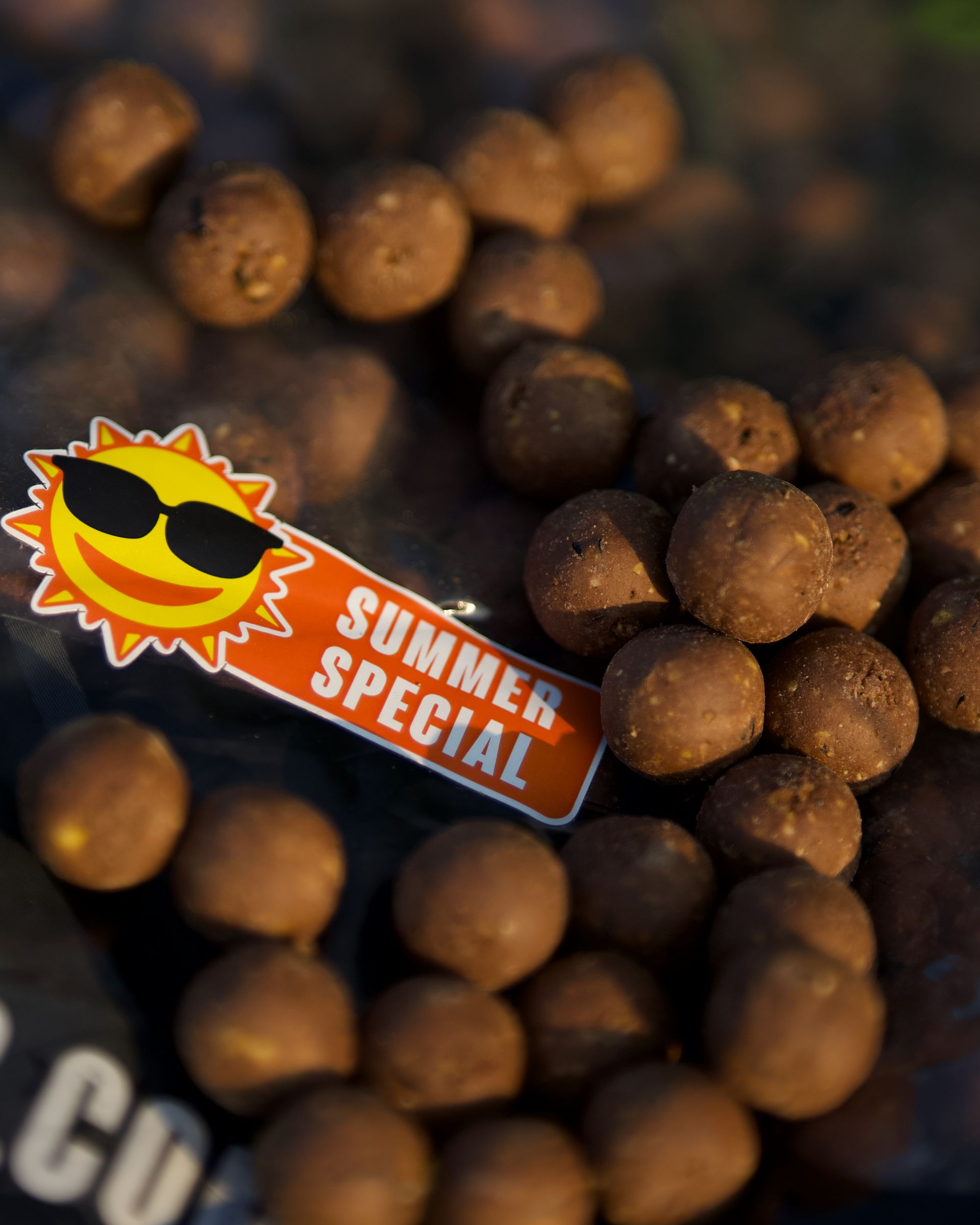 Chocosect – Summer Special