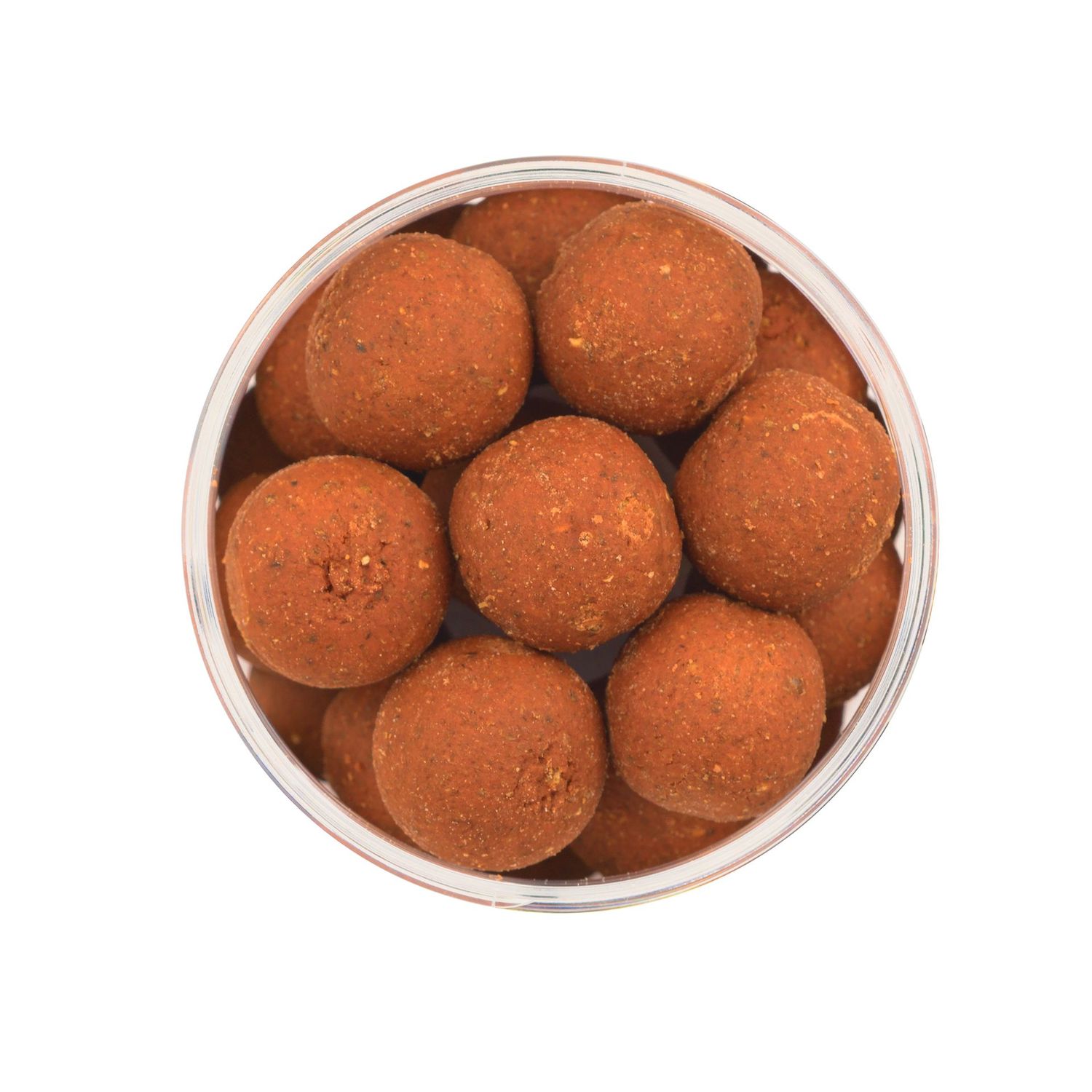 Spicy insect hard hookbaits