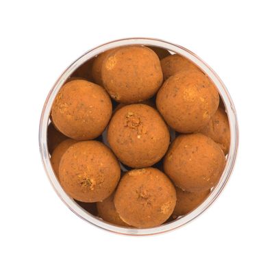 FruitFly Hard Hookbaits