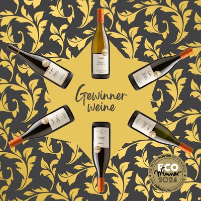 GEWINNERWEINE | Sechs der besten Bioweine Deutschlands GEWINNERWEINE | Sechs der besten Bioweine Deutschlands