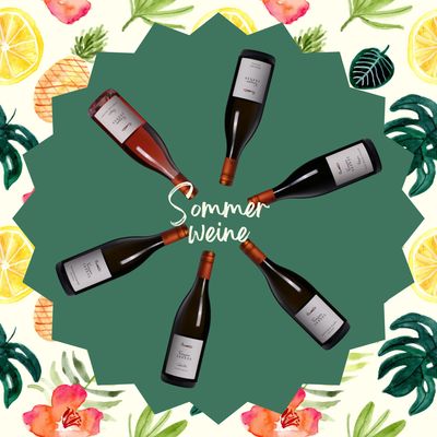 SOMMERWEINE Probierpaket mit 6 Flaschen gemischt