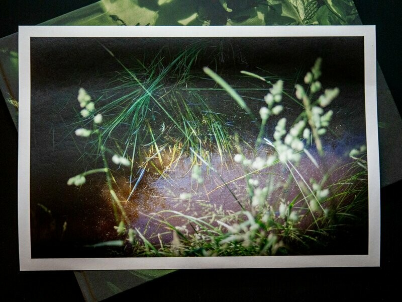 COLLECTOR'S EDITION | Eva Brunner | NO ESCAPE FROM PARADISE mit einem signierten Print COLLECTOR'S EDITION | Eva Brunner | NO ESCAPE FROM PARADISE mit einem signierten Print