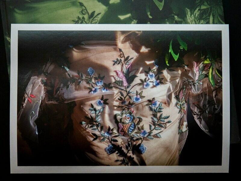 COLLECTOR'S EDITION | Eva Brunner | NO ESCAPE FROM PARADISE mit einem signierten Print COLLECTOR'S EDITION | Eva Brunner | NO ESCAPE FROM PARADISE mit einem signierten Print