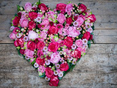 Herz rosa-pink Herz rosa-pink