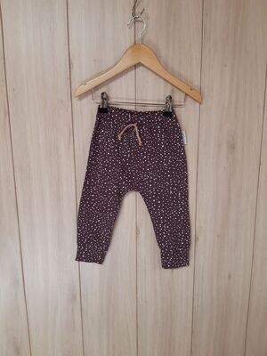 BASIC Jogger Dotties lila - Größe 80