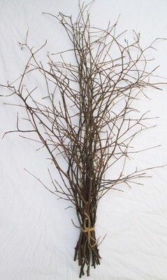 Tall Floor Natural Eco Fresh Beech Hornbeam Branch Bundle Bunch Branches Stem Decoration Decor 30 Twigs 90cm